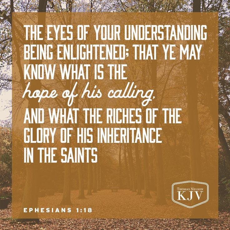 The Eyes Of Jesus Scripture