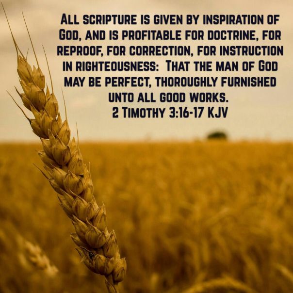 2a0cba0cd22429016d29d7705ad7165f