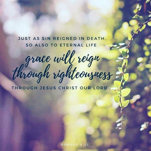 83594e814be75e84500725d67a8ad5b8